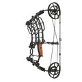 Dual-Purpose Compound Bow 30-55lbs 420FPS | Adjustable Archery Bow for Arrows & Steel Balls – Outdoor Target Practice for Adults & Beginners